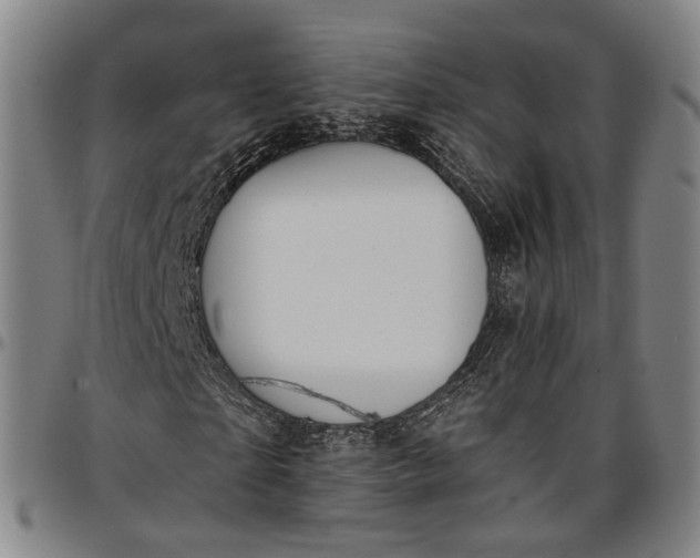 X0000096660865200802191304