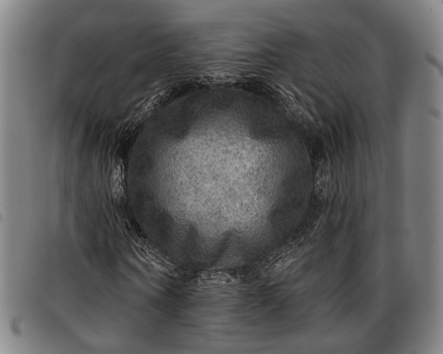 X0000096660866200802191304