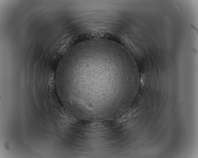 X0000096660867200802191304