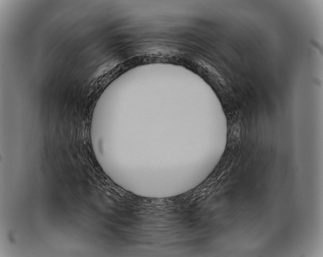 X0000096660869200802191304