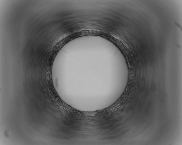 X0000096660870200802191304