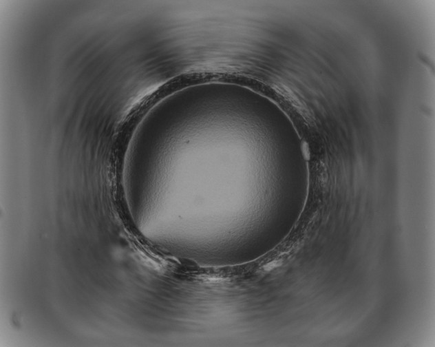 X0000096660872200802191304