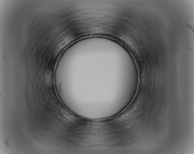 X0000096660873200802191304