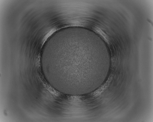 X0000096660875200802191304