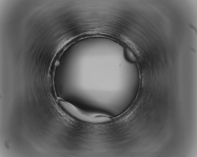 X0000096660876200802191304