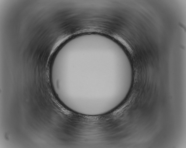 X0000096660878200802191304