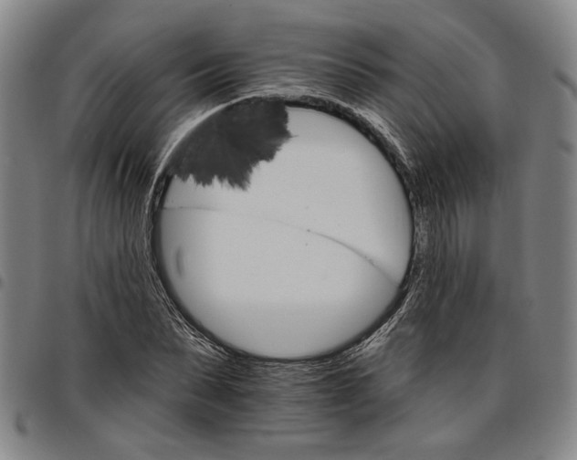 X0000096660879200802191304