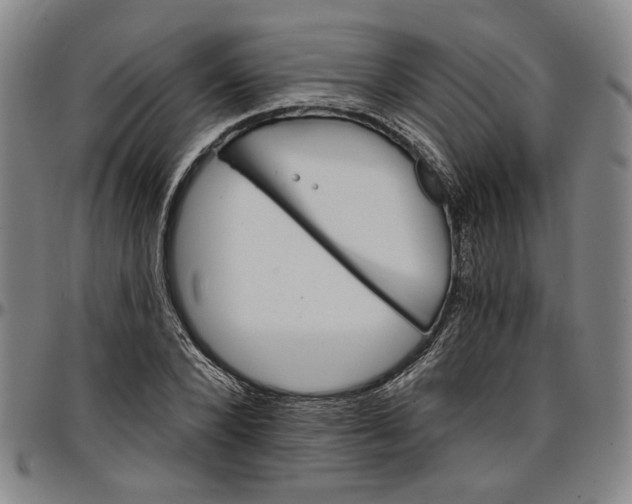 X0000096660880200802191304