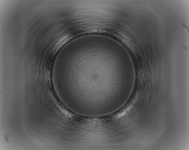 X0000096660881200802191304