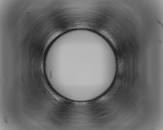 X0000096660882200802191304