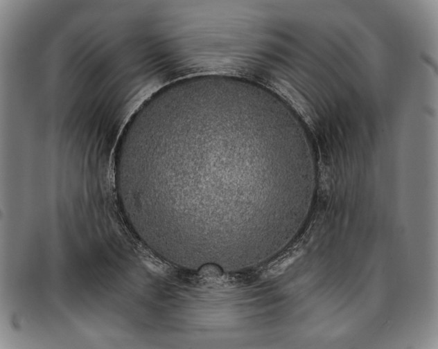 X0000096660883200802191304