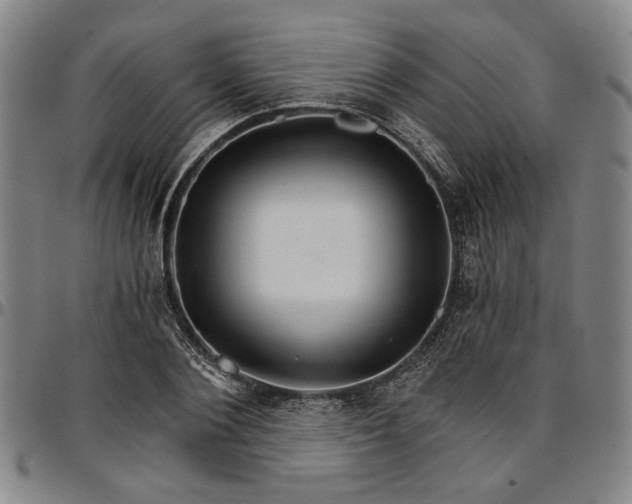 X0000096660884200802191304