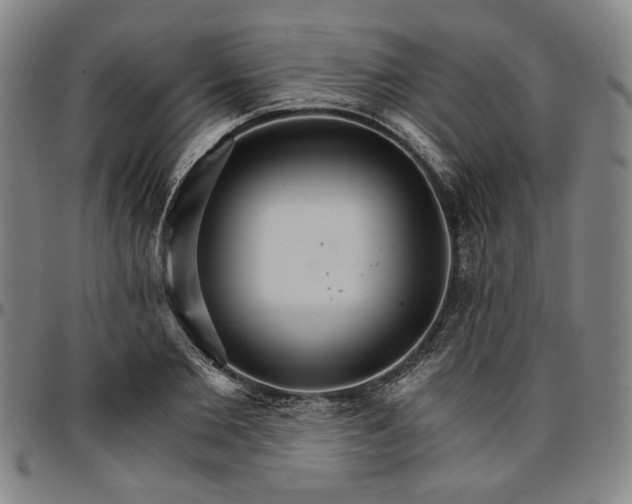 X0000096660885200802191304