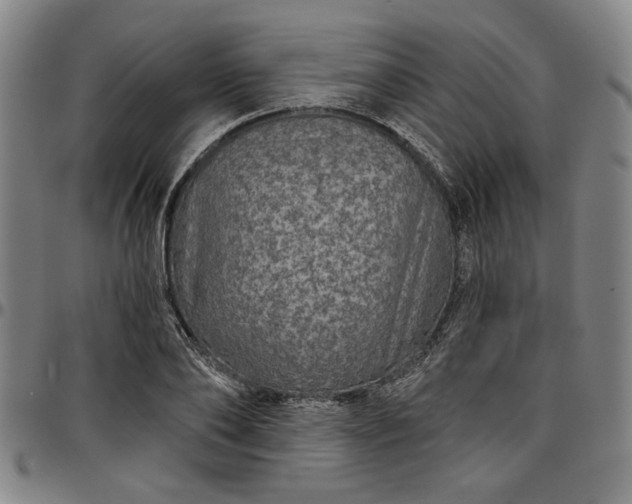 X0000096660886200802191304