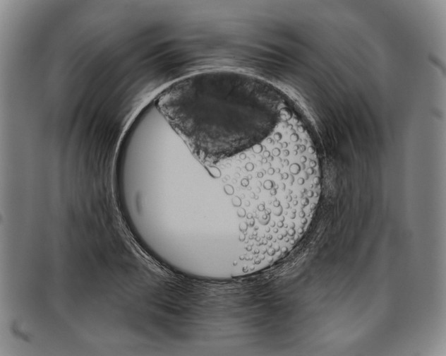 X0000096660887200802191304