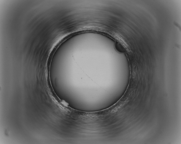 X0000096660888200802191304