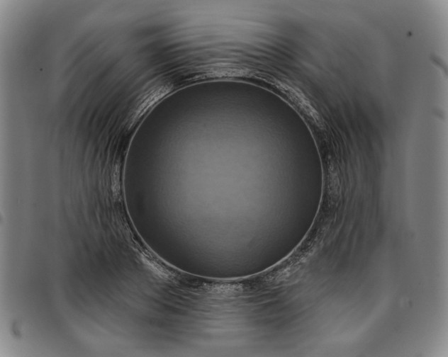 X0000096660889200802191304