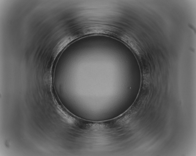 X0000096660890200802191304