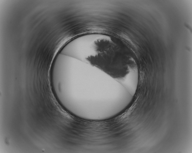 X0000096660891200802191304