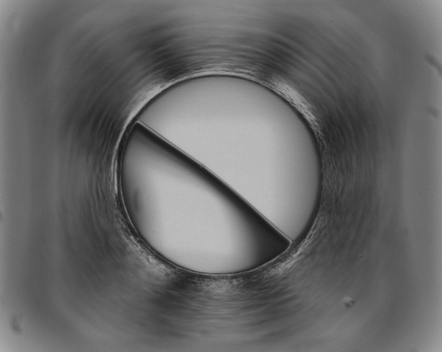 X0000096660892200802191304