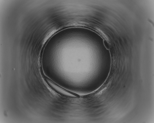 X0000096660893200802191304