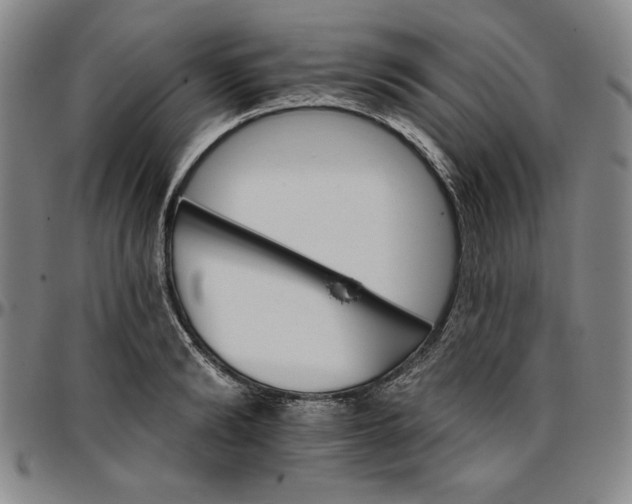 X0000096660894200802191304