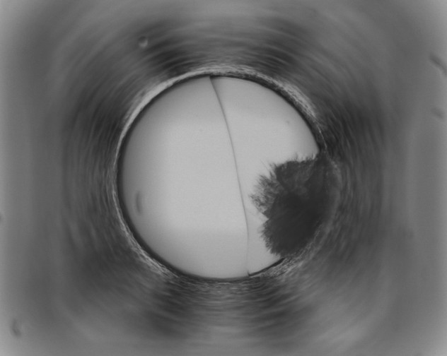 X0000096660895200802191304