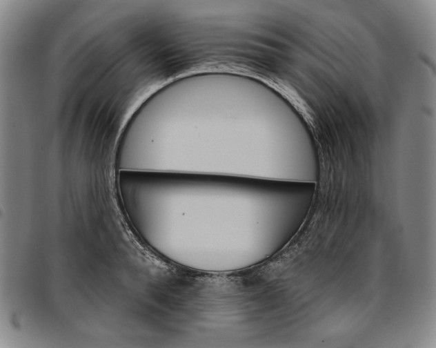 X0000096660896200802191304