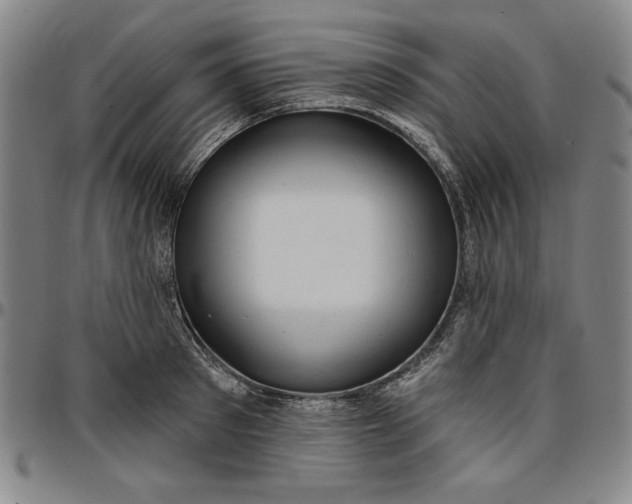 X0000096660897200802191304