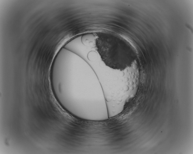 X0000096660899200802191304