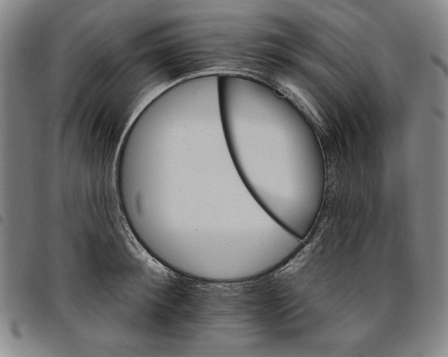 X0000096660900200802191304