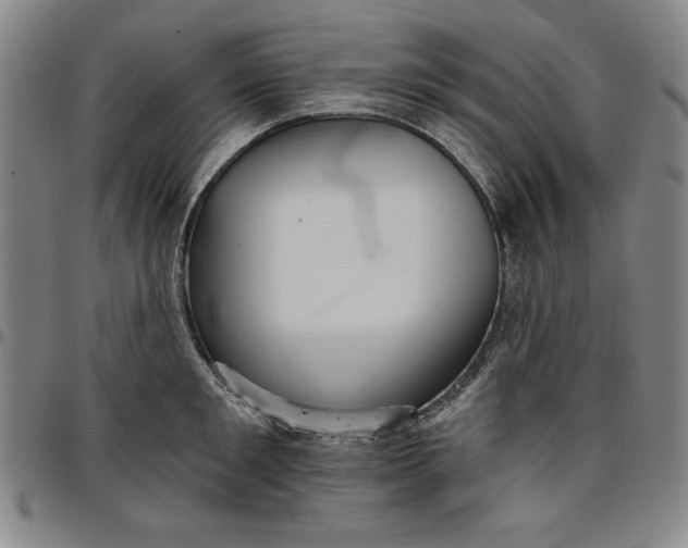 X0000096660901200802191304