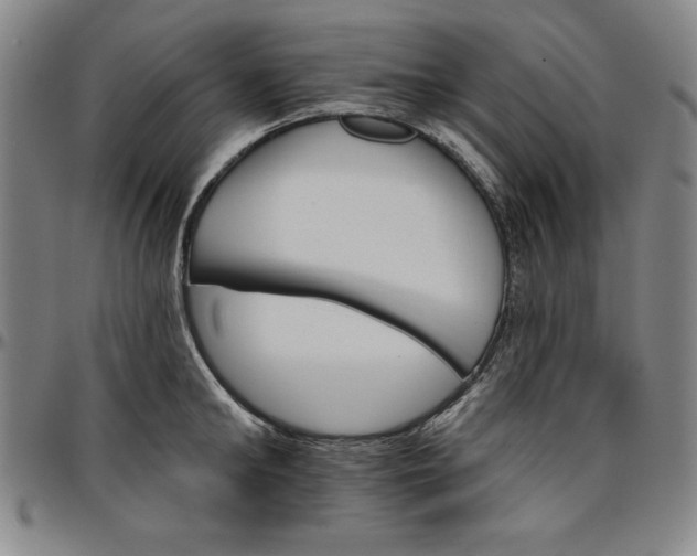 X0000096660902200802191304