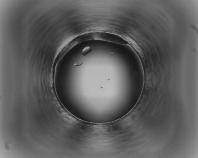 X0000096660904200802191304