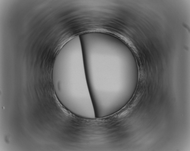 X0000096660905200802191304