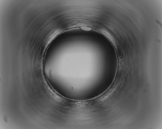 X0000096660906200802191304