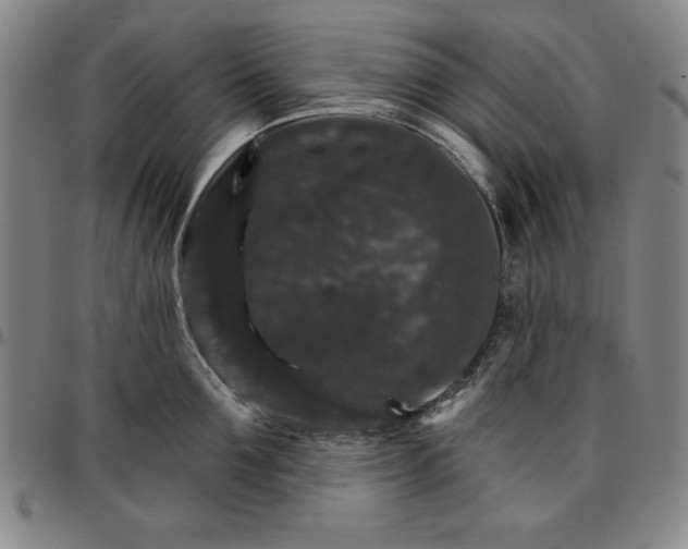 X0000096660907200802191304