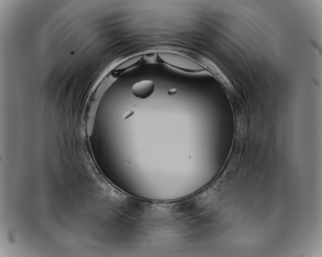 X0000096660908200802191304