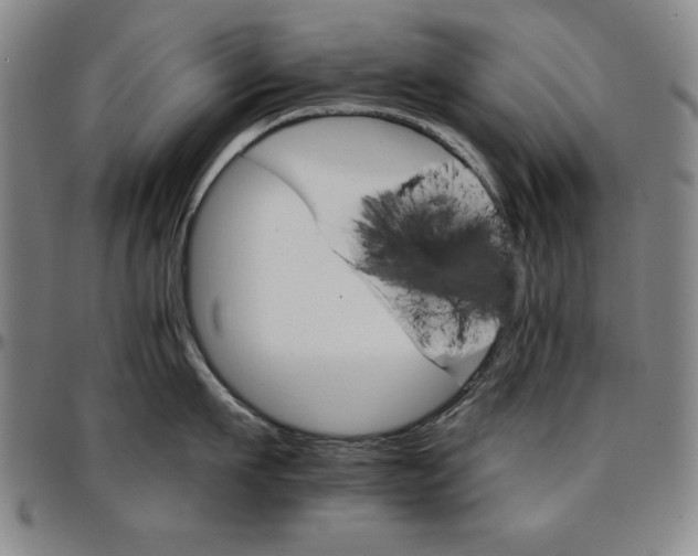 X0000096660911200802191304