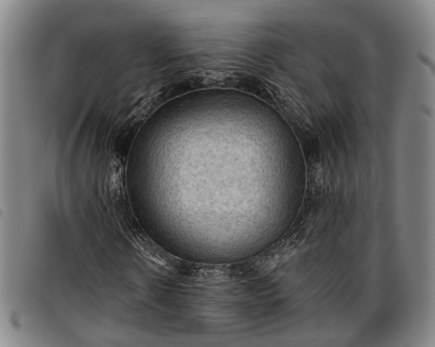 X0000096660914200802191303