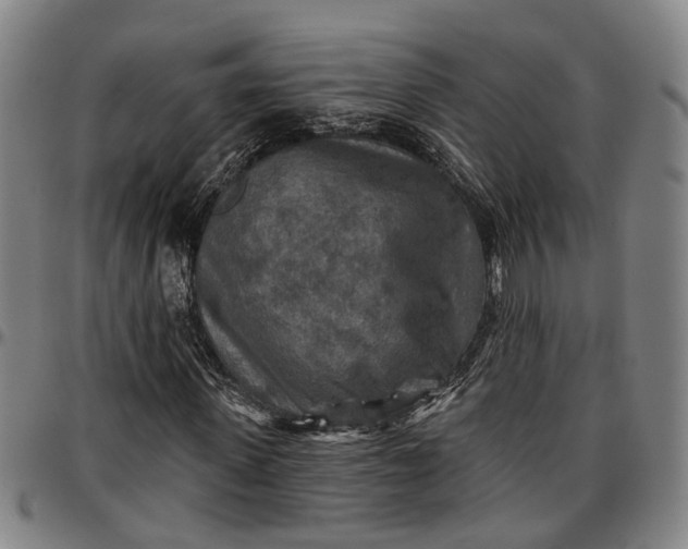 X0000096660915200802191303