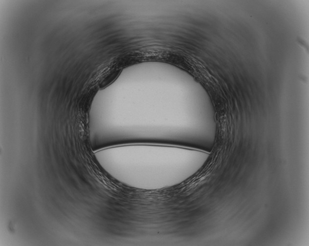 X0000096660916200802191303