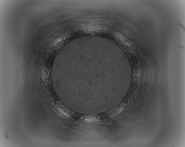 X0000096660917200802191303