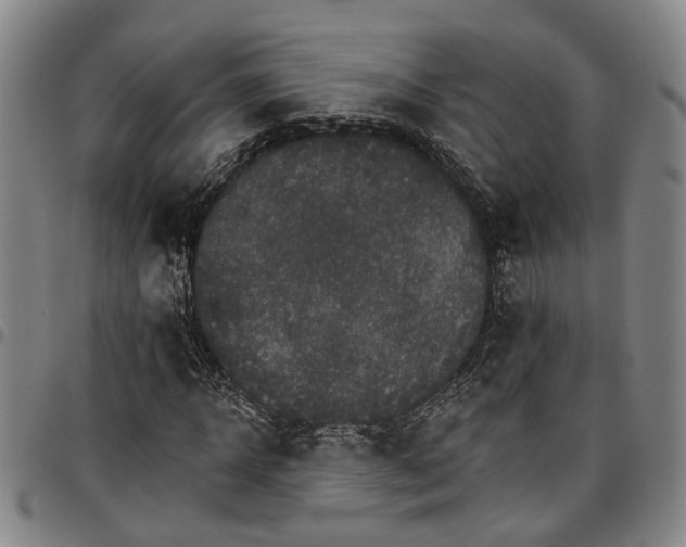 X0000096660918200802191303