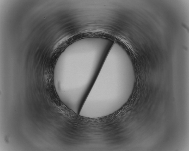 X0000096660920200802191303