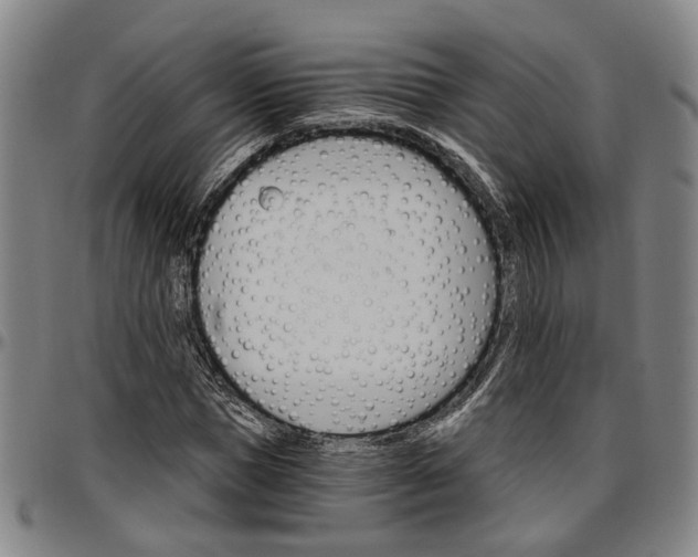 X0000096660921200802191303