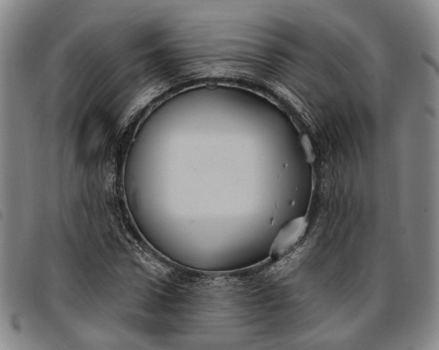 X0000096660922200802191303