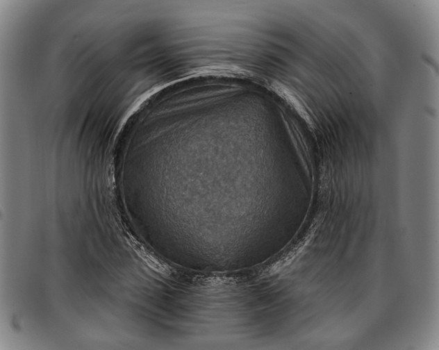 X0000096660923200802191303