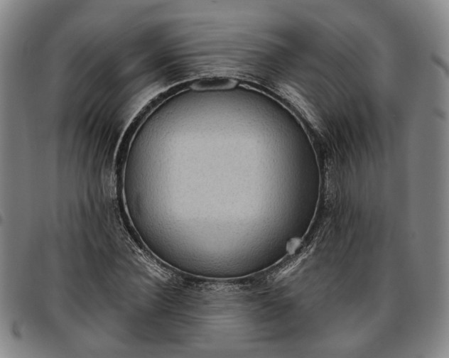 X0000096660924200802191303