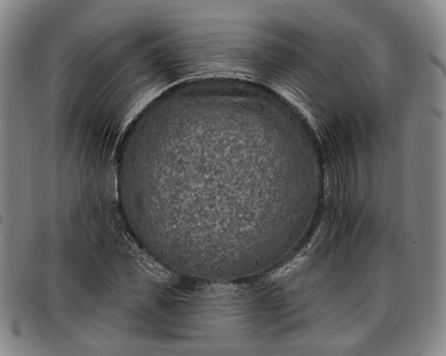 X0000096660925200802191303